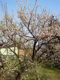 2011042714340000.jpg